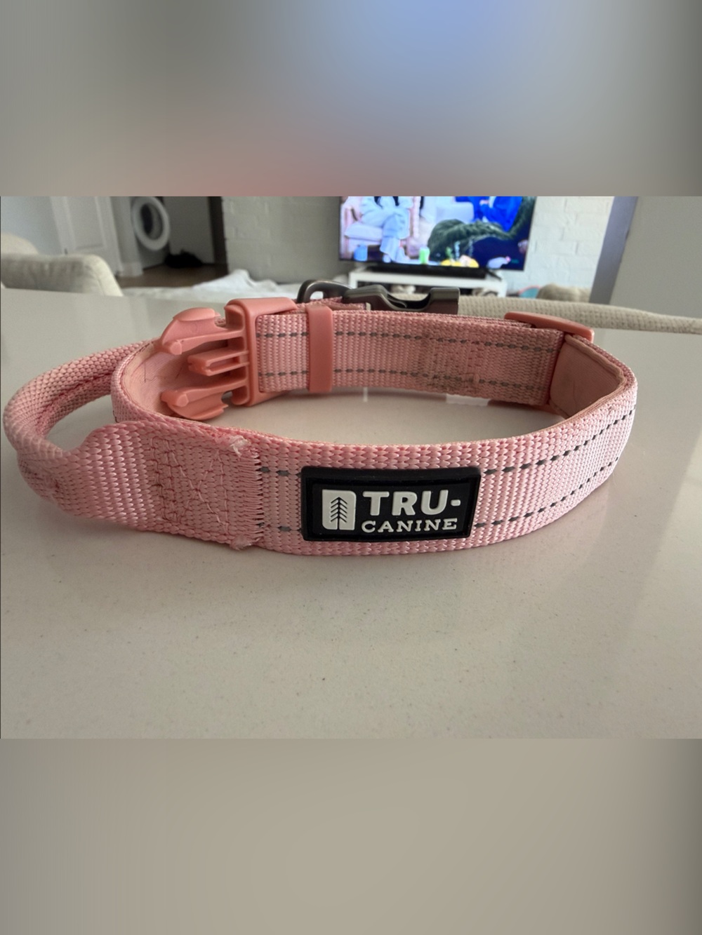 Pink Dog Collar